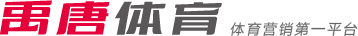 低級別聯賽